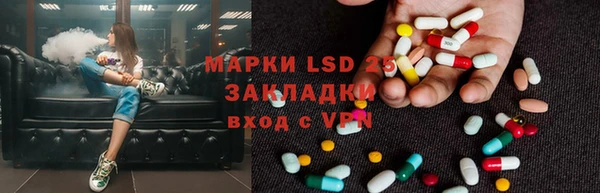 соль ск Белокуриха