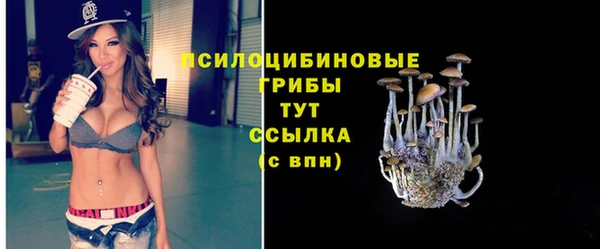 не бодяженный Беломорск