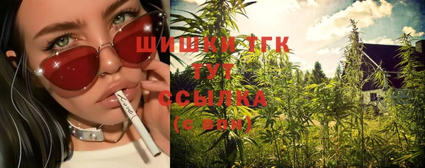 соль ск Белокуриха