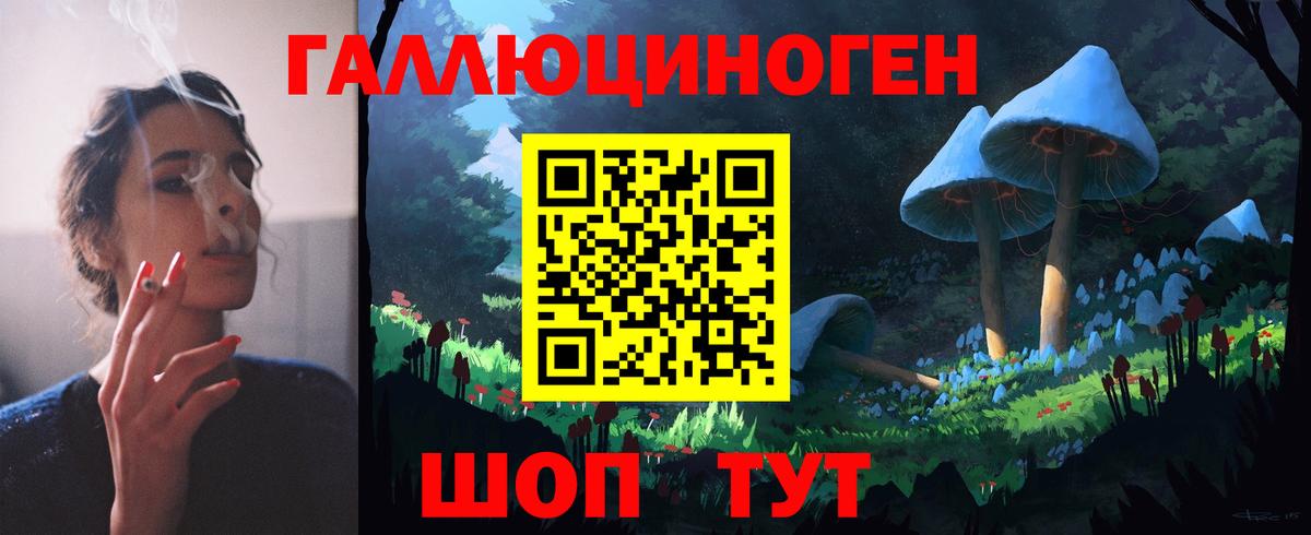 Галлюциногенные грибы GOLDEN TEACHER Гудермес