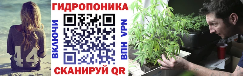 Бошки марихуана Ganja  продажа наркотиков  Гудермес 
